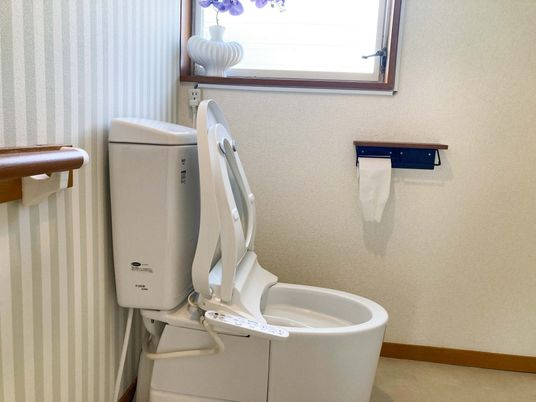 清潔なトイレの空間
