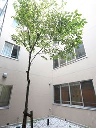 中庭にある木