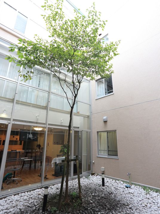 中庭の緑あふれる景観