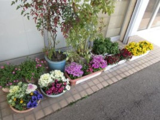 花壇のある玄関前  