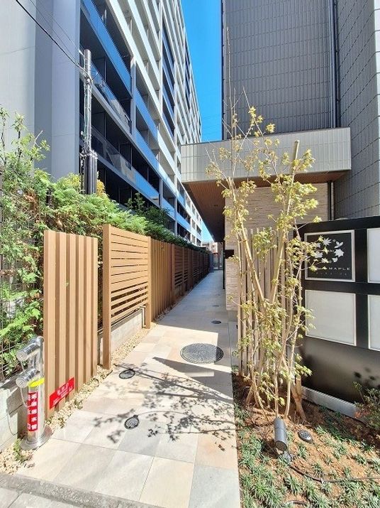 緑に囲まれた歩道