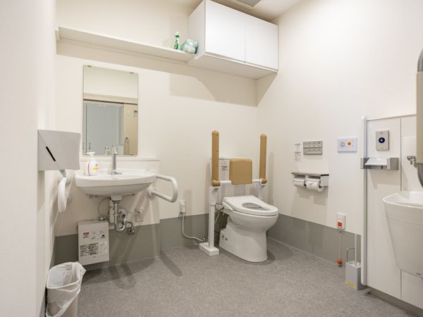 手すり付きトイレと洗面台  