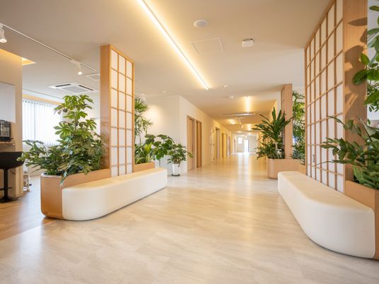 植物が並ぶ明るい廊下  
