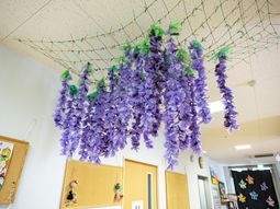 季節感ある紫の花の廊下
