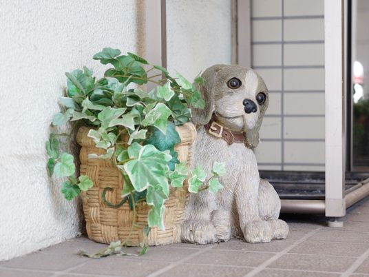 犬のオブジェと緑の植物