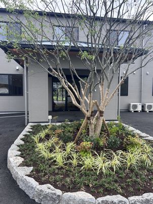 植物が美しい外観