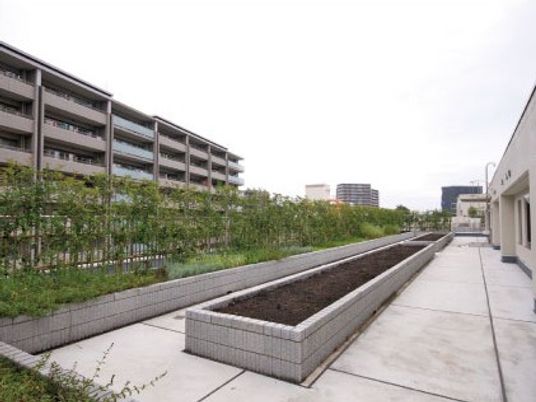 中庭の植栽と通路  