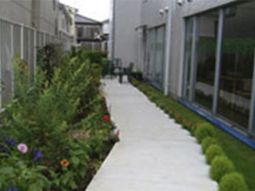 緑あふれる施設の中庭