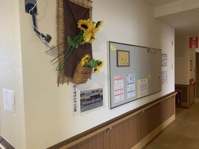 掲示物のある廊下