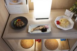 食事の一例