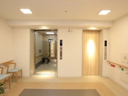 清潔な廊下とエレベーター