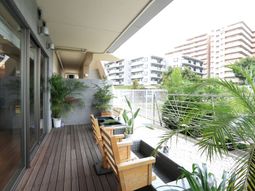 テラスの緑とベンチ