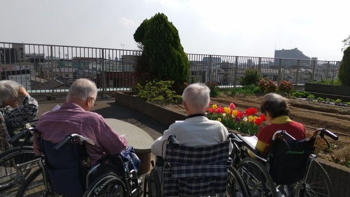 穏やかな雰囲気の庭