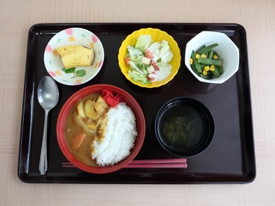 バランスの取れた食事提供