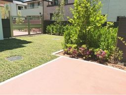 中庭の緑と日差し