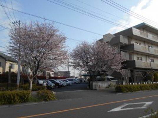 建物と駐車場の外観  