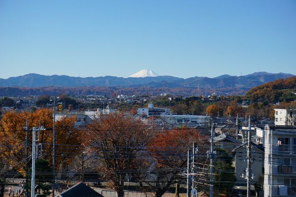 富士山と町並みの景色