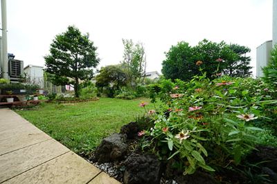 緑豊かな庭の風景