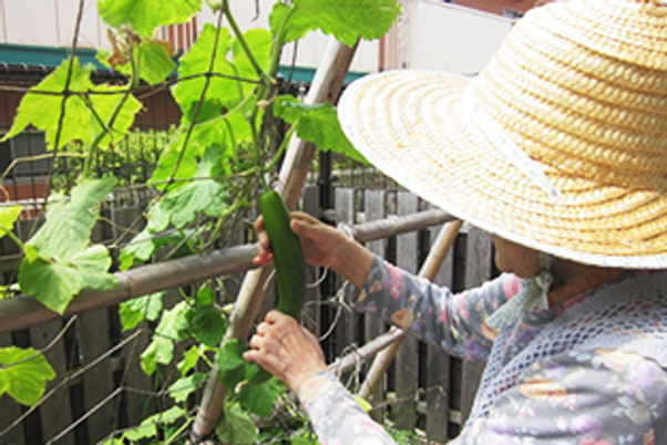 緑の手入れをする人物 庭