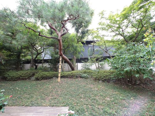 緑豊かな中庭の景観