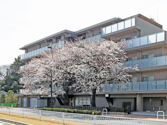 桜樹と共にある建物外観