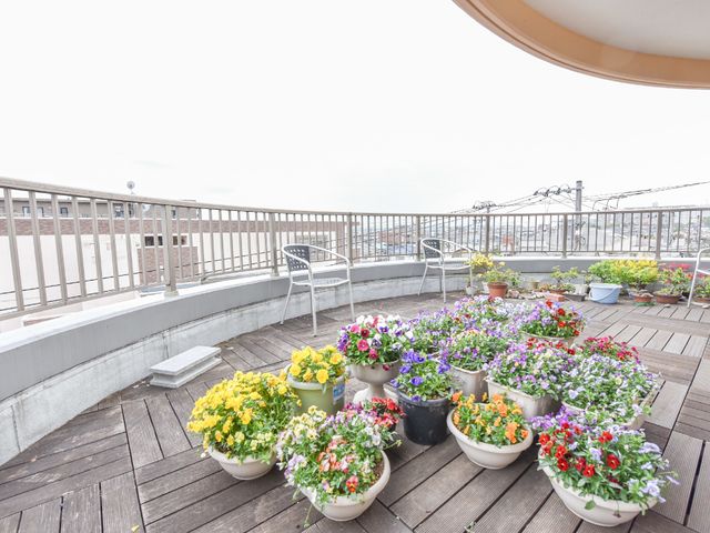 花に囲まれた屋上テラス 多くの花で飾られたバルコニー カラフルな花々と共に過ごせる、心地よい開放感のあるテラスです。屋外でのひとときをお楽しみいただけます。
