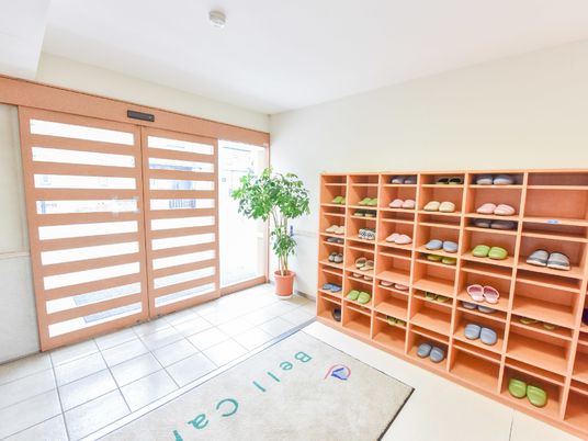 エントランスの靴箱と植物