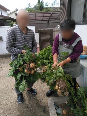 庭での収穫活動