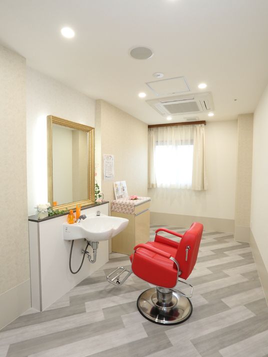 洗髪室は、壁に金縁の大きな鏡がありその下に洗髪専用の洗面台がある。その前には背もたれが調節できる洗髪用椅子が置いてある。