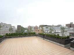 広々とした屋上テラス風景