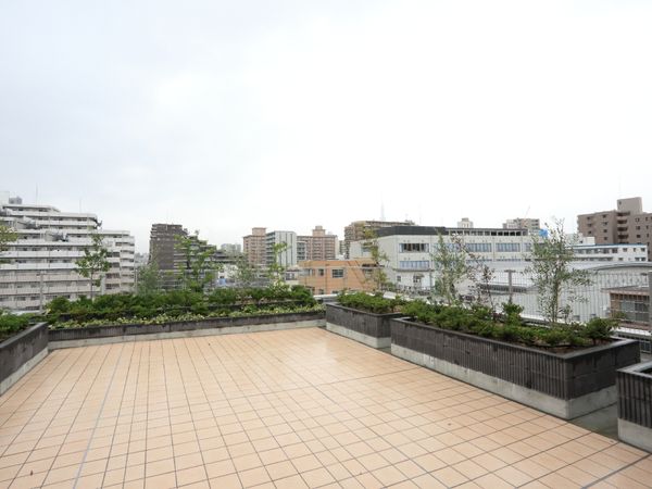 広々とした屋上テラス風景