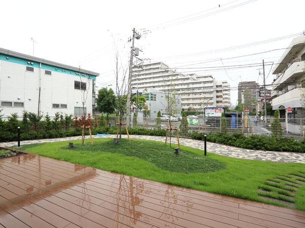 新緑の小道