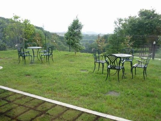 緑に囲まれた庭の風景