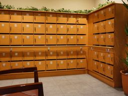 整理された木製ロッカー