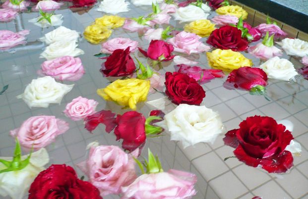 浴槽の華やかさ