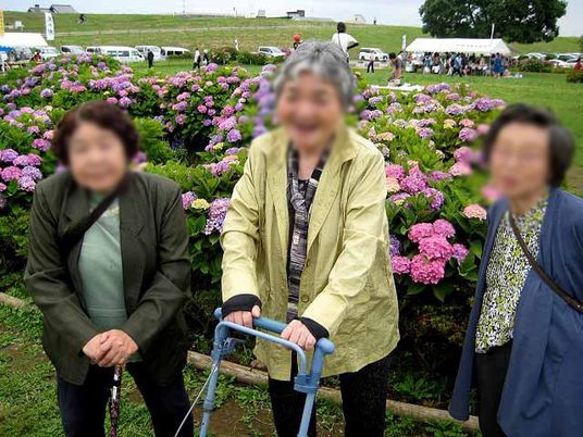 紫陽花と笑顔の場面