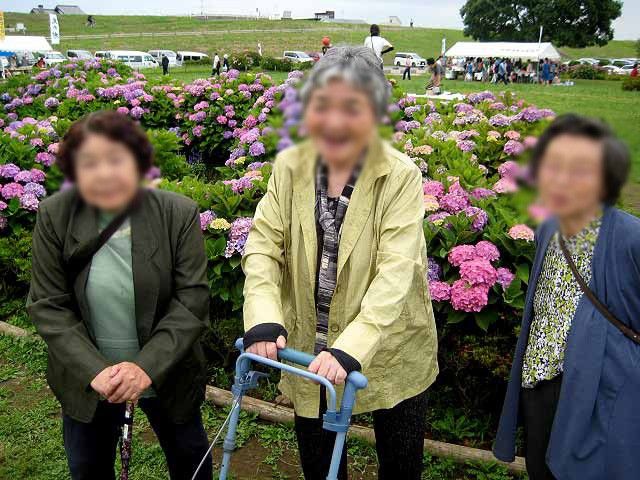 紫陽花と笑顔の場面 中庭 色とりどりの紫陽花の前で、ゆったりとした時間を楽しむ様子です。和やかな雰囲気が漂います。