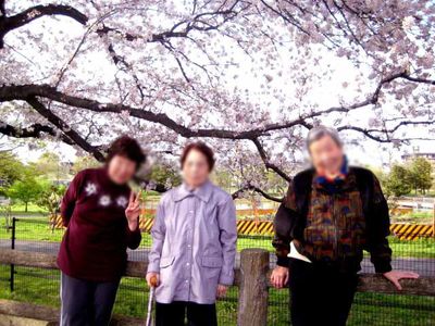 桜の下で交流する場