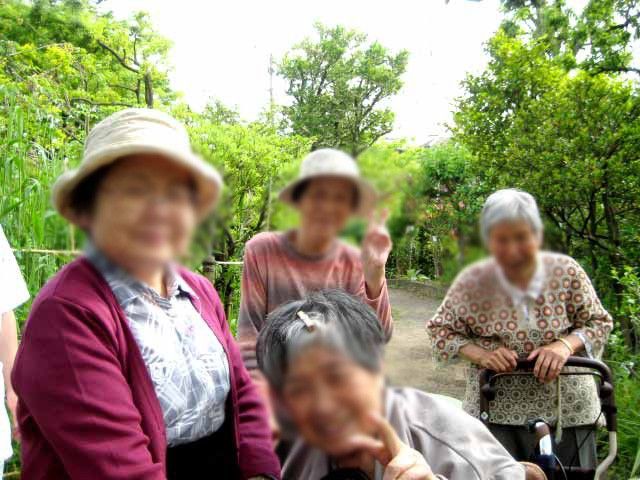 緑豊かな庭 庭 自然に囲まれた庭で、一緒に楽しい時間を過ごせます。リラックスに最適な環境です。