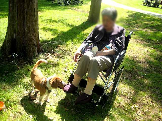 車椅子で過ごす庭 庭 車椅子の方が自然の中でペットと一緒にいる様子です。ほっと一息つけるくつろぎの時間を提供します。
