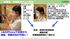 連絡可能な人物