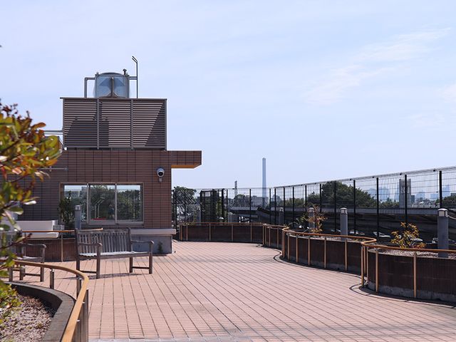開放的な屋上テラス