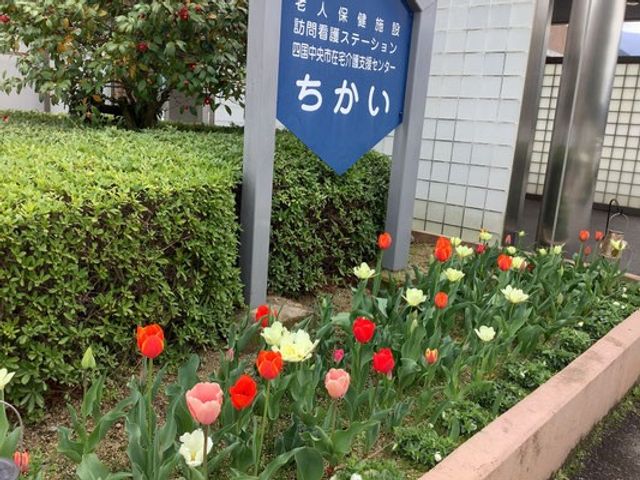 花壇のある看板前外観 外観 建物前の花壇に色とりどりの花が咲き、看板まわりが明るい印象です。来訪時に季節感を感じやすい、親しみのある雰囲気です。