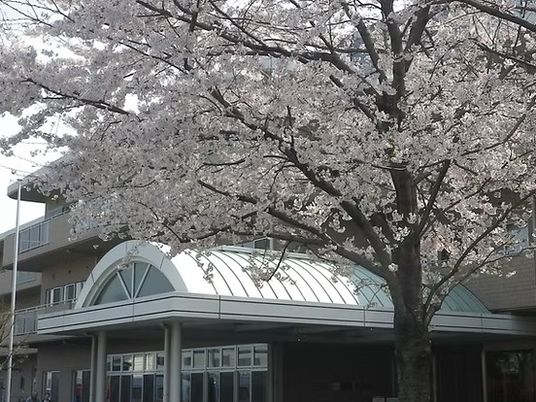 桜と建物の外観  
