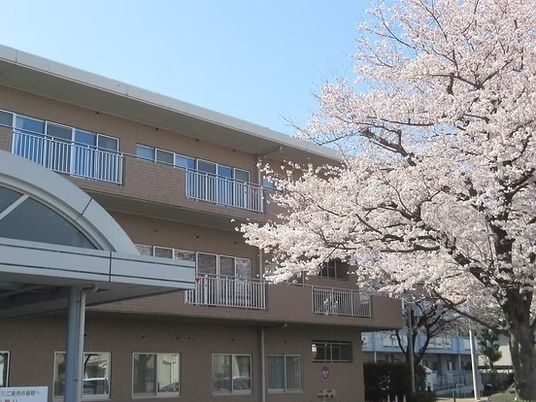 桜のある施設外観  