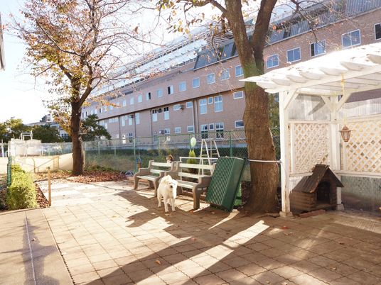  快適な中庭の風景 