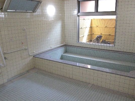 手すり付きの清潔な浴室