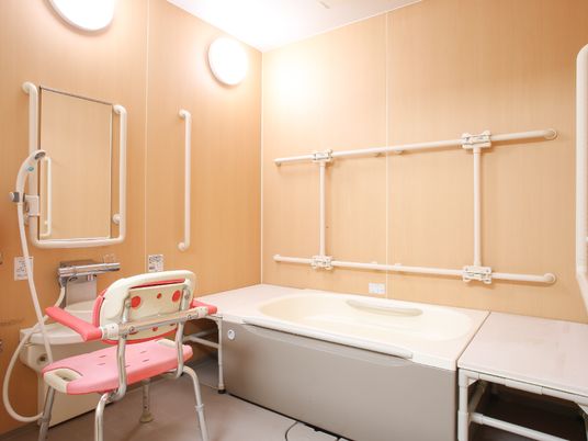 安全な設備のバリアフリー浴室