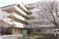 桜が咲く建物周辺