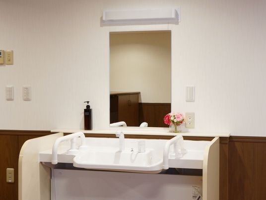 洗面台のボウルの両側には白色のバーが設置されているため、入居者様はそれを握ることにより転倒を防止することができる。